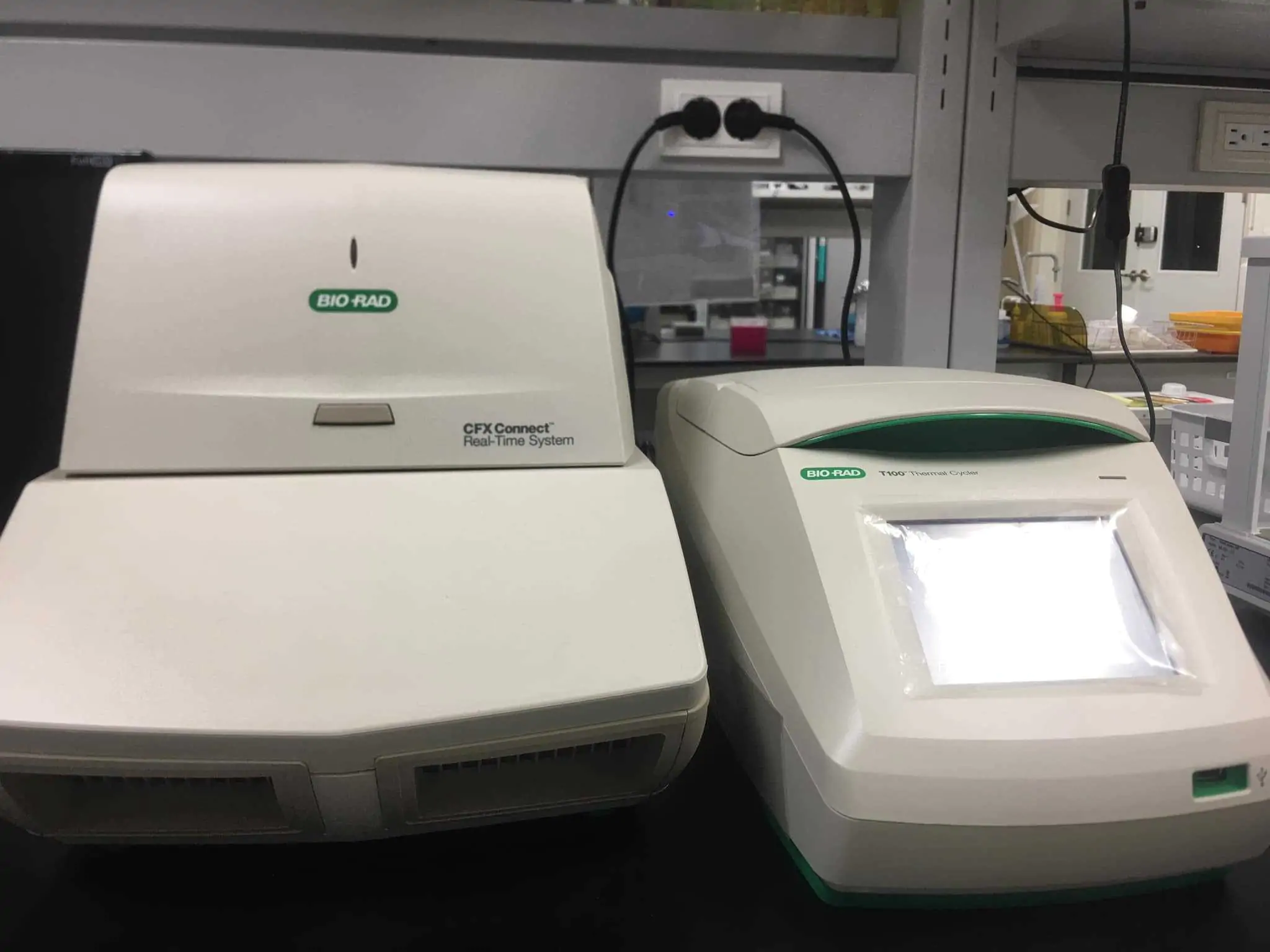 CFX Connect Bio Rad