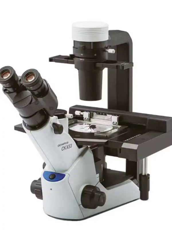 Olympus CKX53