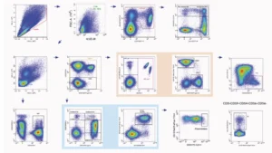 immunophenotyping