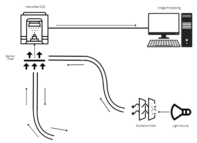 Figure 2: The Inner Workings of a Video Endoscope